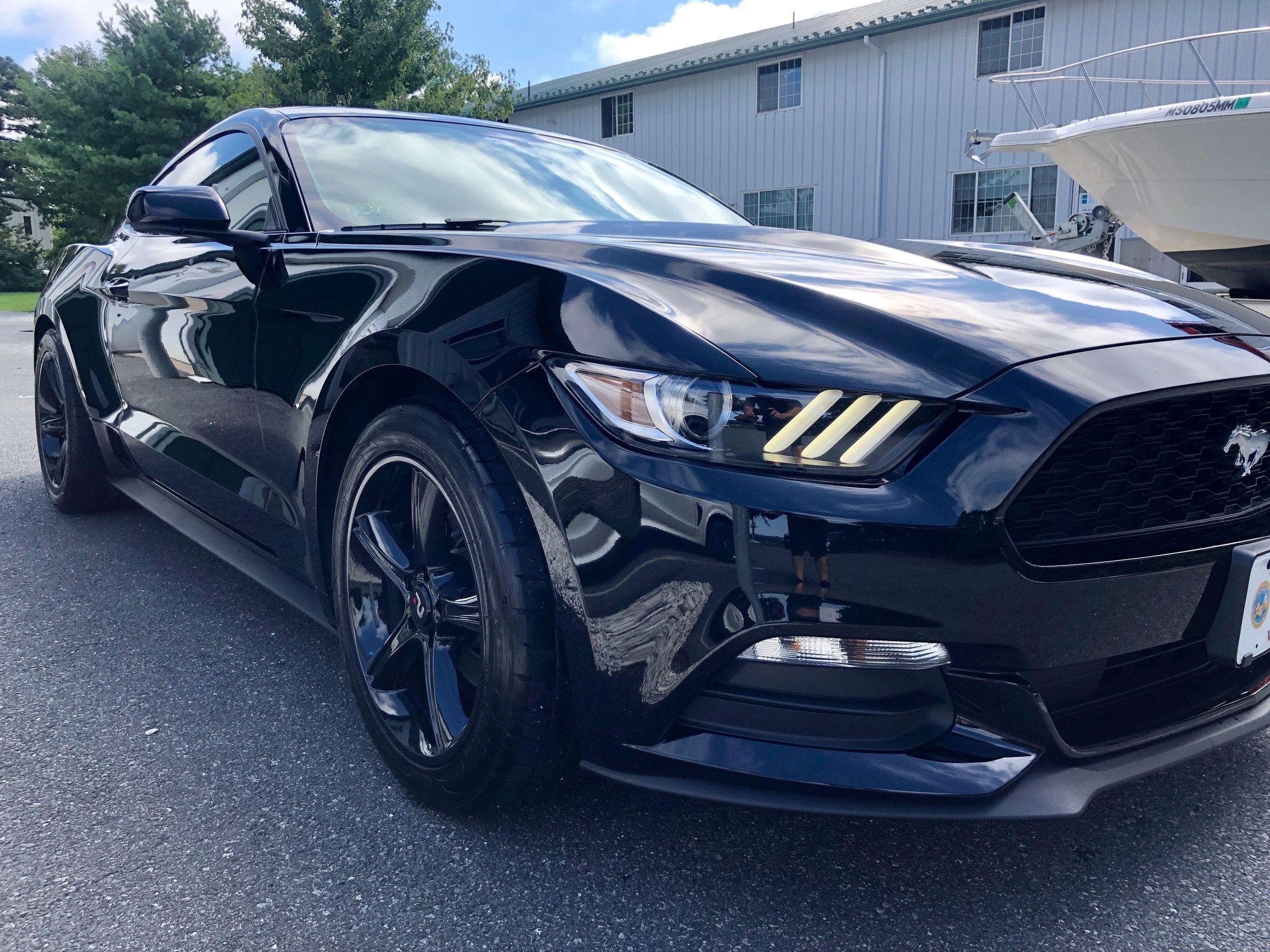 Black Ford Mustang after detailing